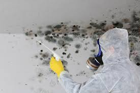 Mold Documentation for Insurance Claims in James Island, SC